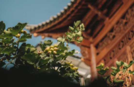 大理·大喜飯店（龍龕碼頭生態廊道店）