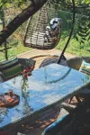 Gift of the Mountain · Taihang Secret Countryside Resort Homestay Hotels in Huixian