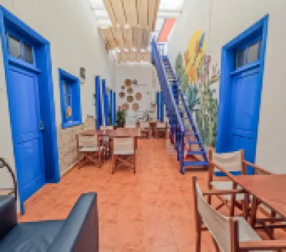 Ashavana Nest Hostel