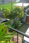 Indonesia Eco Tour Homestay