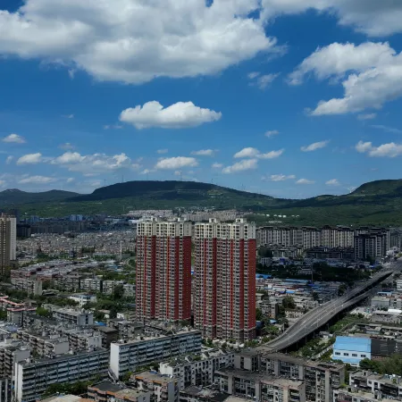 Vienna Hotel (Pingdingshan Weidong District Wanda Plaza)