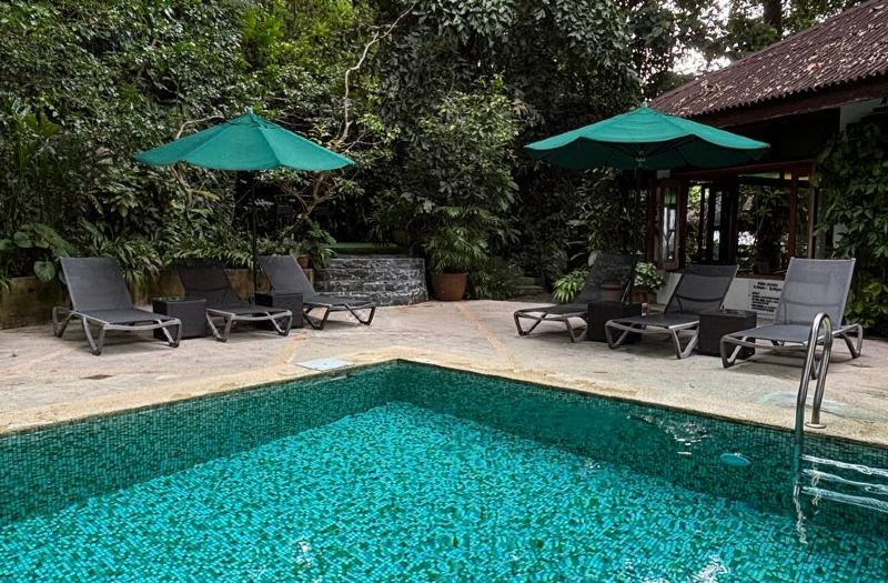 Ambong Rainforest Retreat photo 3