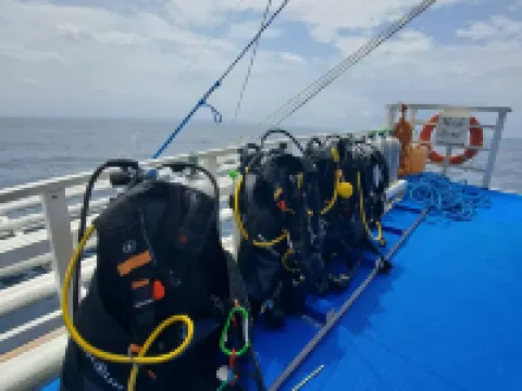 阿維拉地平線潛水度假村-馬拉帕斯卡 達安班塔延酒店