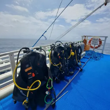 Avila's Horizon Dive Resort Malapascua