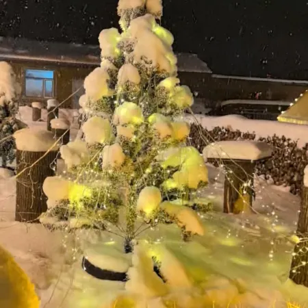 Snow Valley Yangyang Inn