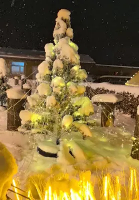 雪谷陽陽客棧 酒店