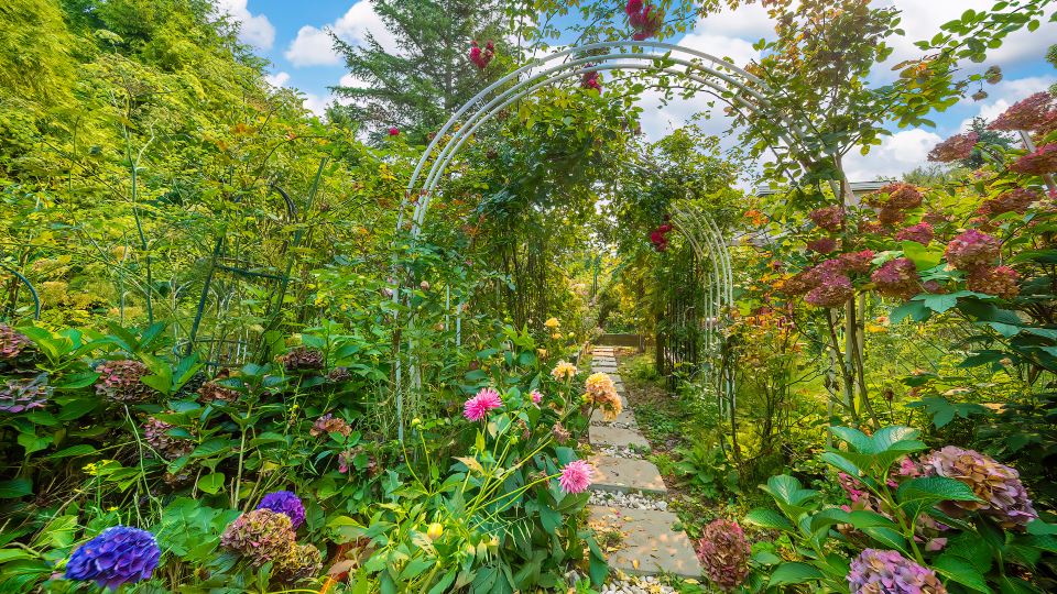Gorgeous garden 3BR short or long term rental