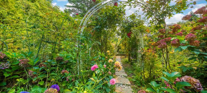 Gorgeous garden 3BR short or long term rental Hotels in Surrey