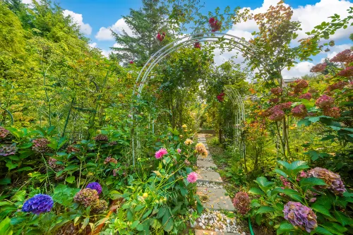 Gorgeous garden 3BR short or long term rental - Pet friendly