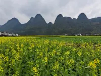 Wanfeng Forest Moyunqi Homestay - 2-Star