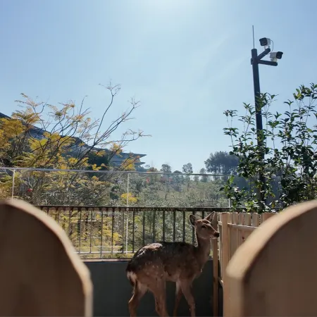 Qingshuiyan Hot Spring Resort · Qingshui Yunju