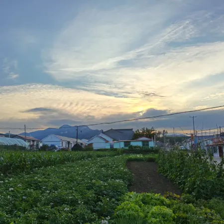 Xingyu Xiaozhu Homestay (Benxi Shuidong)