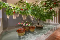 Yunman Hotel (Dancheng No.1 High School) - 2-Star