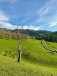 Xinyuan Qingyuan Fengyu Homestay - 2-نجوم
