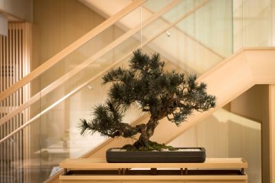 その他 ホテルセンレン京都 東山清水の写真