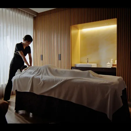 Hotel the Celestine Tokyo Shiba