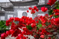 Yin Family Cultural Center | CULTUREHILL • HERITAGES Purple Wave Shinjuku (Erhai Caicun Wharf Store)