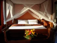 Green Gecko Hotel di 