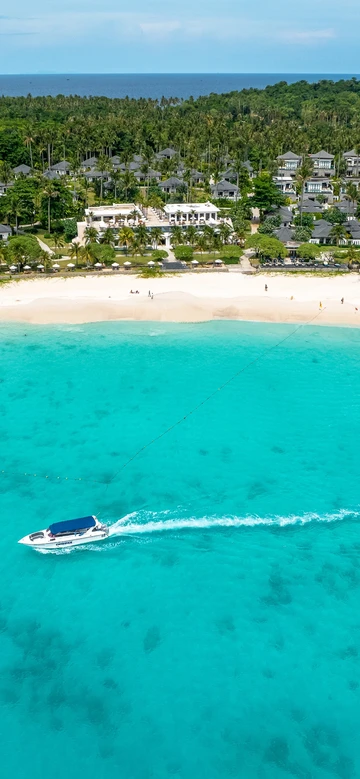 รูปภาพของเดอะ ราชา