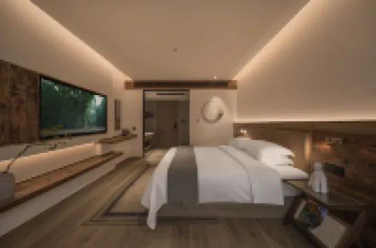 under the banyan tree•a hotel