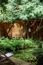 Dali Shaxi Wuqi Homestay