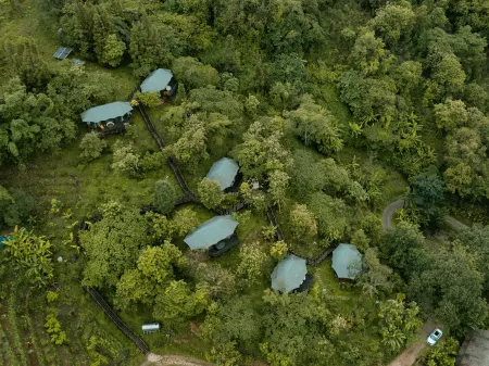 Runjing·Immersive homestay Отели в г. Менхай