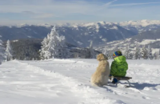 Luxescape-No 2306-Traumaussicht-Ski & Wandergebiet-Paragleiten-Langlauf-Parkplatz