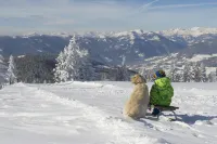 Luxescape-No 2306-Traumaussicht-Ski & Wandergebiet-Paragleiten-Langlauf-Parkplatz Hôtels à : Gemeinde Steindorf am Ossiacher See