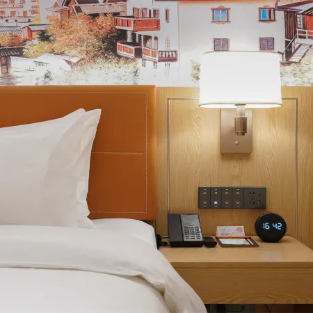 Vienna Hotel (Putian High-speed Railway Station)