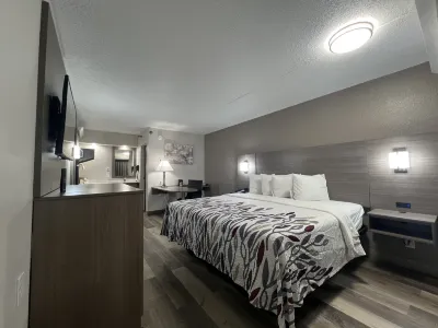 Red Roof Inn Lexington South Hotels in 