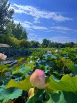 XiChang Qionghai Seventeen Degrees•HeYue Garden Resort - Mountain view