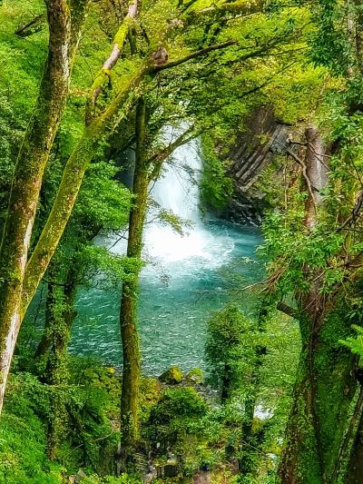 ホテルからの眺望 白壁荘の写真