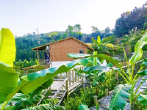 Sangongzhu Yao Medicine Camping Hotel