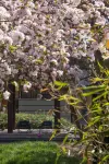 Shuicheng Yipiao  Private Spring Holiday Guesthouse Hotels in Changping District