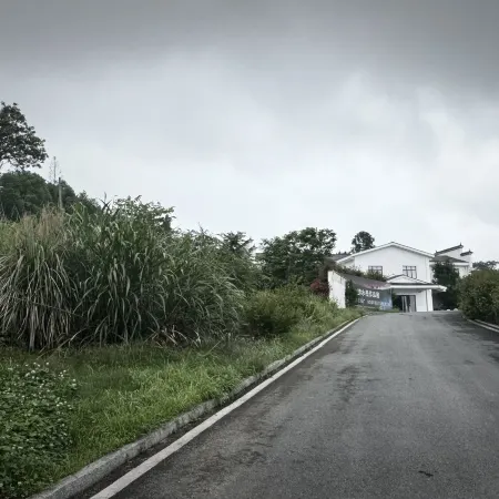 Wugang Dulian Academy Art Homestay