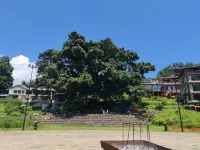 Guangnan Bamei to this one-stack ing - Mountain view