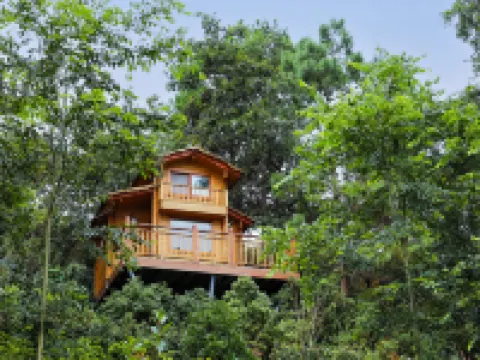 Xundian Fenglongwan Resort Hotel Hotels in Xundian