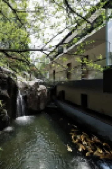 Qingjing Mountain Villa Hotels near Qinxi Xianggu Scenic Area