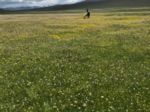 Litang Cloud Homestay Hoteles en Litang