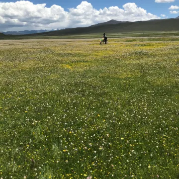 Litang Cloud Homestay