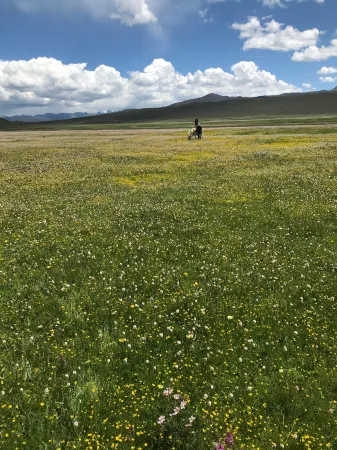 Litang Cloud Homestay