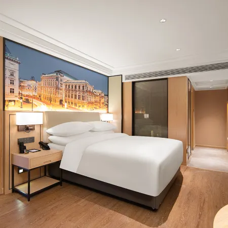 Vienna International Hotel (Heyuan Lianping Zhongxin Branch)