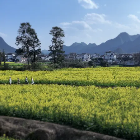Forest Valley Mountain B&B (Wanfeng Forest Scenic Area)