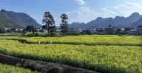 森谷·山荘民宿（萬峯林観光地） - カップル
