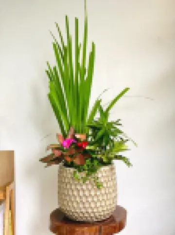 โรงแรมอันดาว ดาลัด