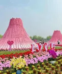 Wan'an Red Cedar Wellness Valley Homestay Hotels in Wan'an
