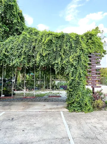 รูปภาพของNida Rooms Nai NAN 72 Rose at NAN Thara Place