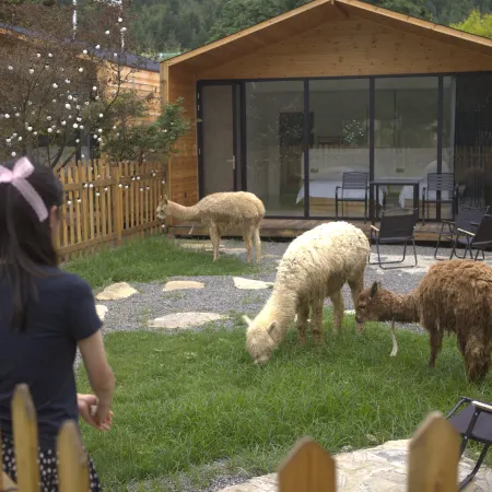 Huang Guo Shu Shan Yue Ji Mu Ye Fairy Tale Homestay