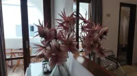 Hotel Marybill - balcone
