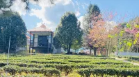 Chahai Yunduan Homestay (Cangyuan Tianrun Chayuan)